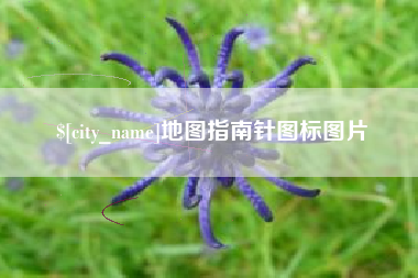 项城地图指南针图标图片