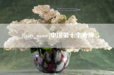 项城中国第十个金牌