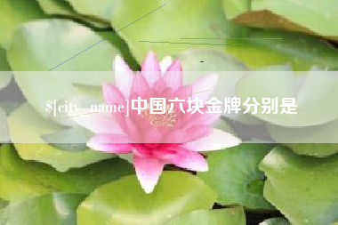 项城中国六块金牌分别是