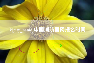 项城中国消防官网报名时间
