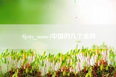项城中国的几个金牌