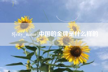 项城中国的金牌是什么样的