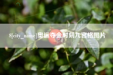 项城奥运夺金时刻九宫格图片