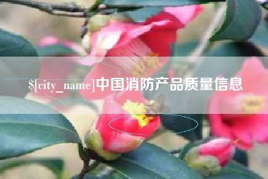 项城中国消防产品质量信息