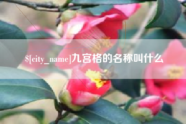 项城九宫格的名称叫什么