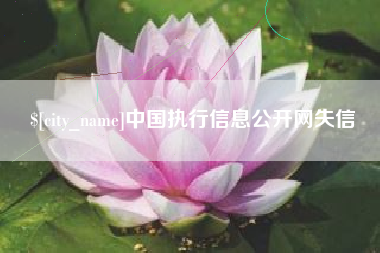 项城中国执行信息公开网失信