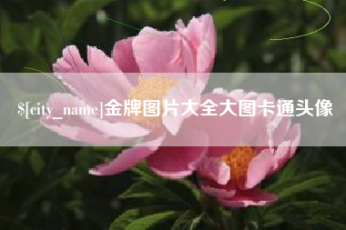 项城金牌图片大全大图卡通头像