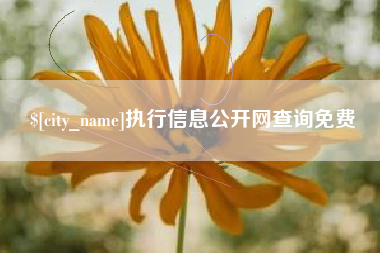 项城执行信息公开网查询免费