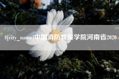 项城中国消防救援学院河南省2020